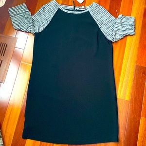 Ann Taylor loft fall dress size 12 - NWT